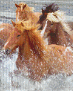 Chevaux