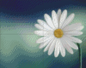 Marguerite